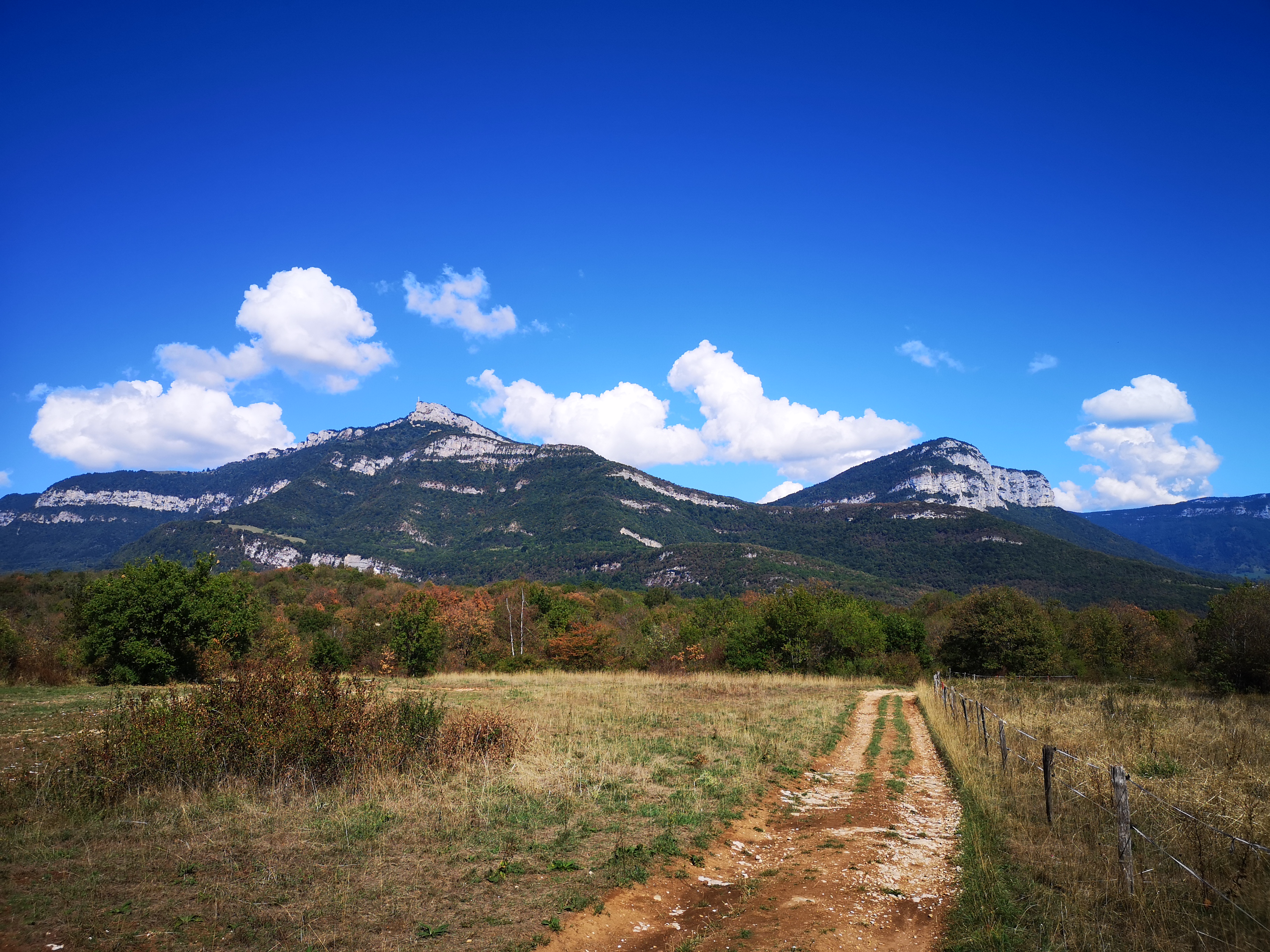 SRE SummerCamp 2022 - Résumé de la première édition